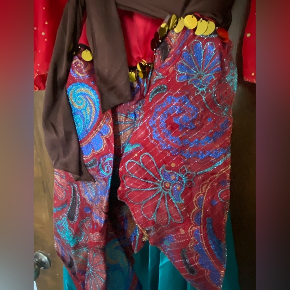 Women’s Gypsy Costume - Picture 5 of 8